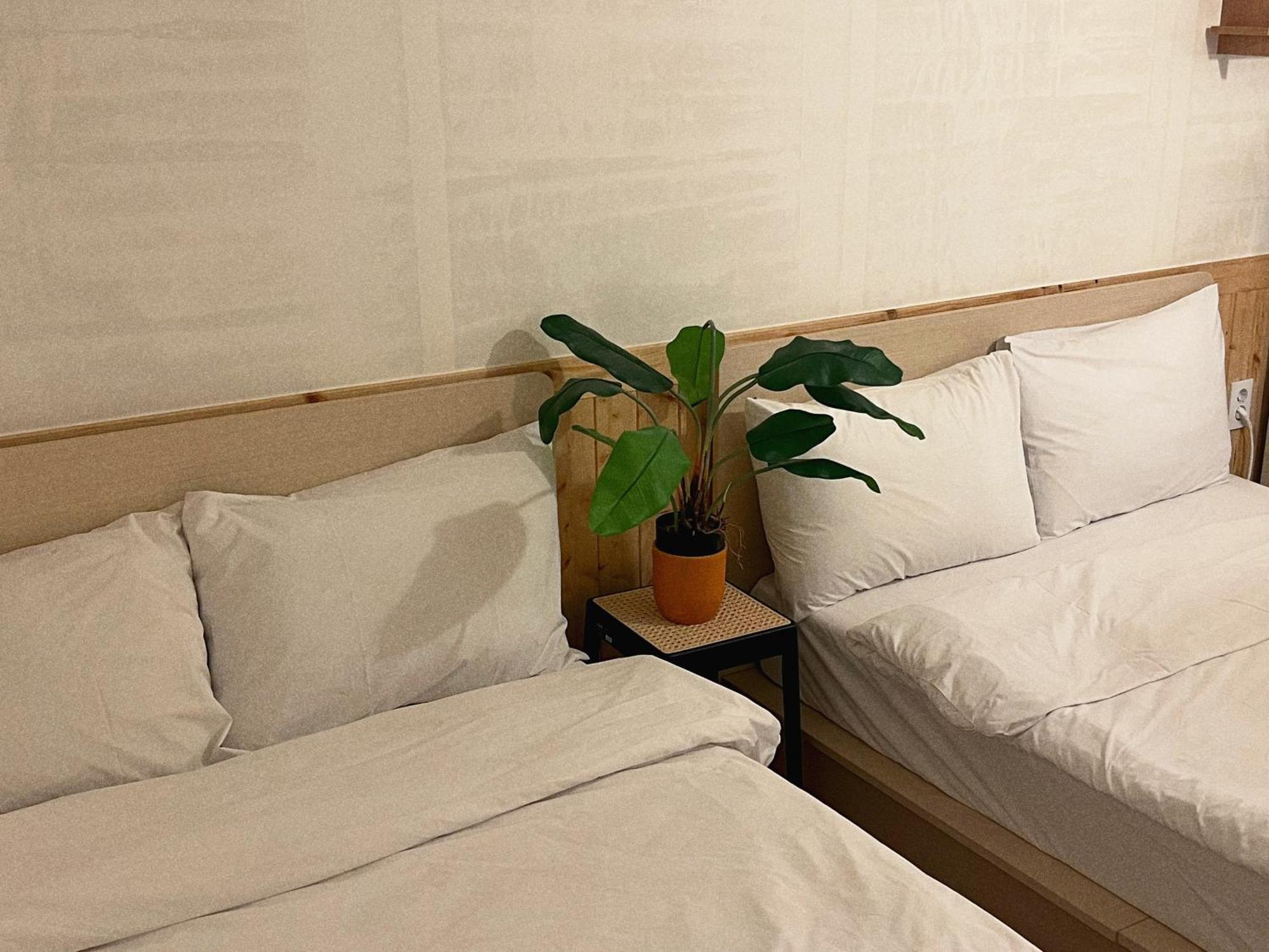 Jnineguesthouse ソウル特別市 エクステリア 写真